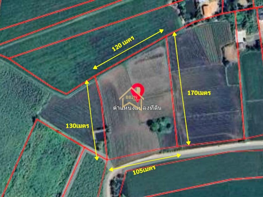 ที่ดิน 10 ไร่ ต.บ้านไร่ อ.บางกระทุ่ม จ.พิษณุโลก 7