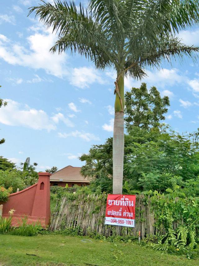 รูป ขาย ที่ดิน ชะอำ ติดถนน - 209 ตร.วา ที่ดินติดรีสอร์ท อ.ชะอำ จ.เพชรบุรี. 2