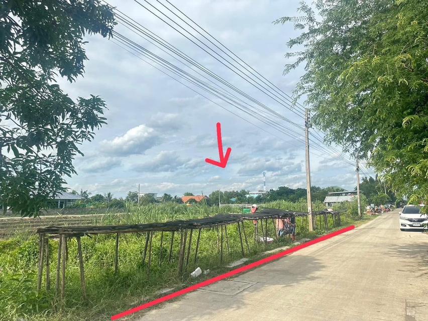 ที่ดินซอยบงกช 41 ถนนเลียบคลอง 2 ต.คลองหลวง อ.คลองหลวง จ.ปทุมธานี 4