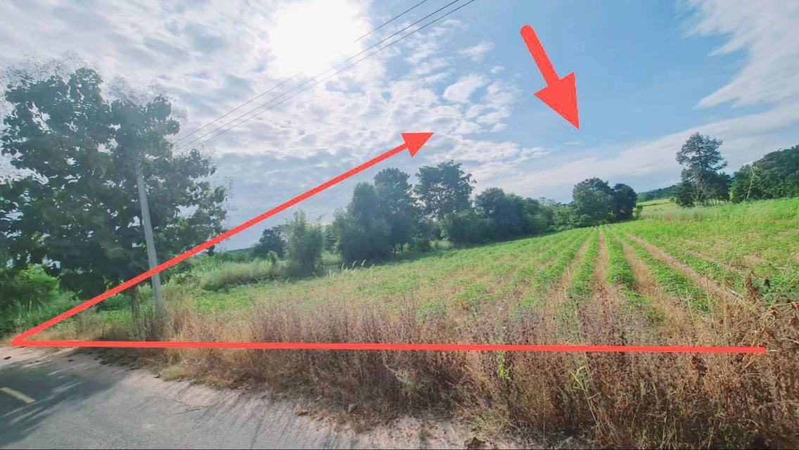 ที่ดินอุดรธานี 5 ไร่ 21 ตารางวา 2