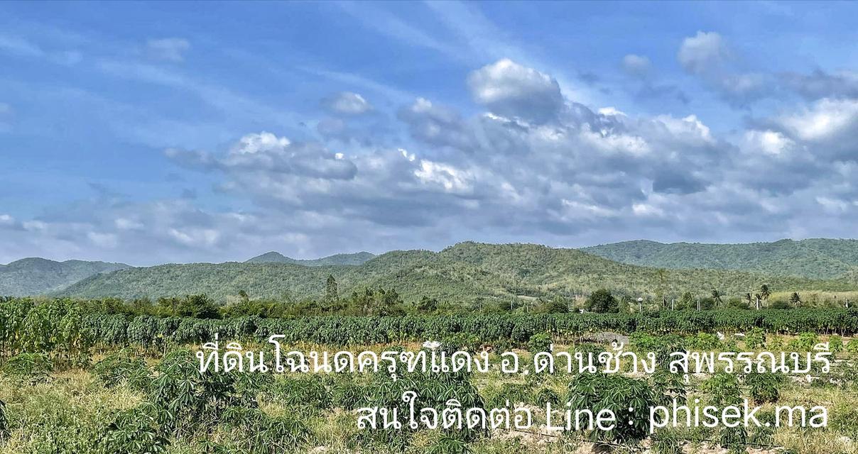 ที่ดินโฉนดครุฑแดงวิวเขา ท้ายติดห้วย 7ไร่ ไร่ละ400,000 อ.ด่านช้าง สุพรรณฯ น้ำไม่ท่วม ใกล้แหล่งท่องเที่ยว โทร : 080-7866949 line id : phisek.ma 2