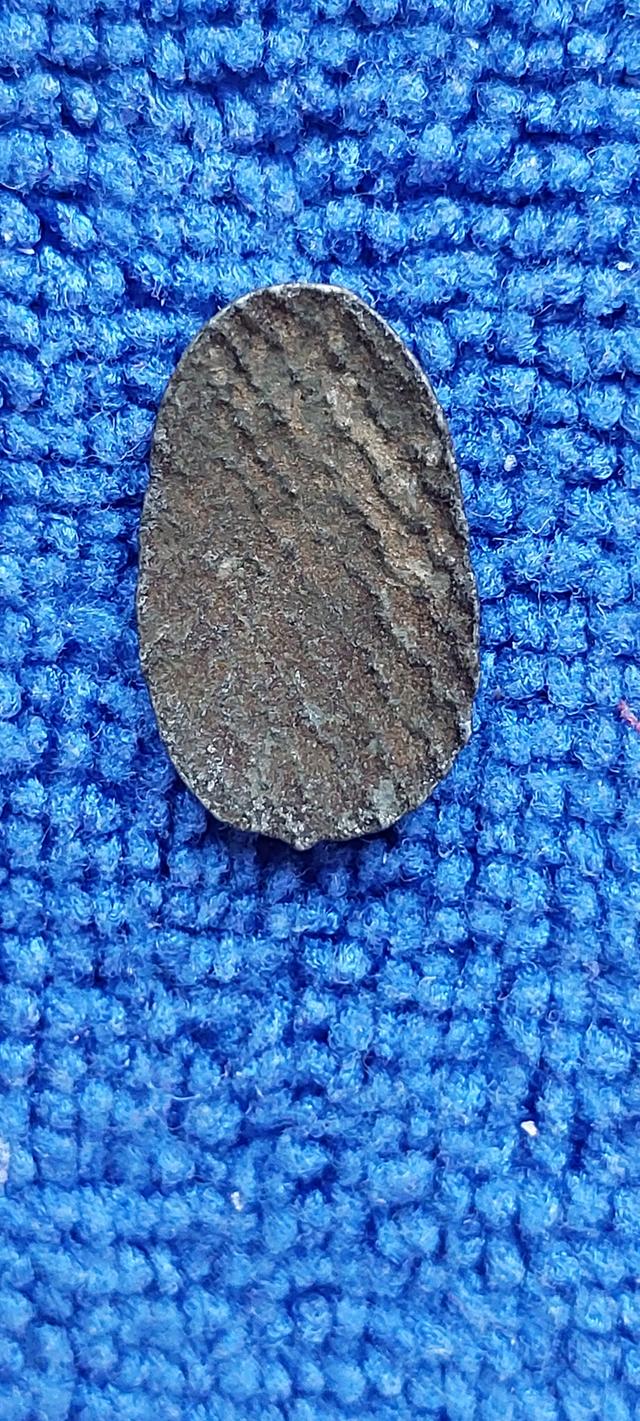 พระพิจิตรเม็ดข้าวเม่าพิจิตรกรุวัดพระศรีรัตนมหาธาตุ รูปที่ 8