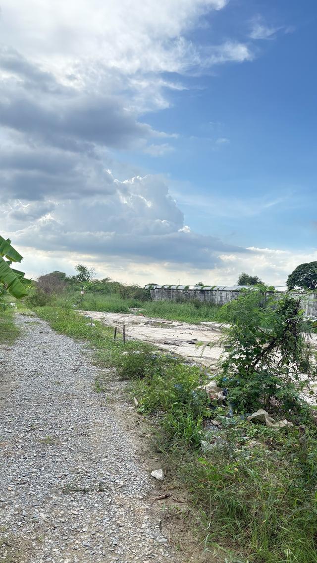 ด่วน! ให้เช่า–ขายที่ดินถมแล้ว 2-3-88 ไร่ (1,188 ตร.วา) เขตทวีวัฒนา กรุงเทพฯ 2