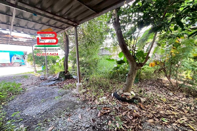 ที่ดินเปล่า ชัชฎาวิลล่า พุทธมณฑลสาย 3 (ซอย 1) เนื้อที่ 60 ตร.ว. (ใกล้มหาวิทยาลัยมหิดล) แขวงบางไผ่ เขตบางแค กรุงเทพมหานคร 7