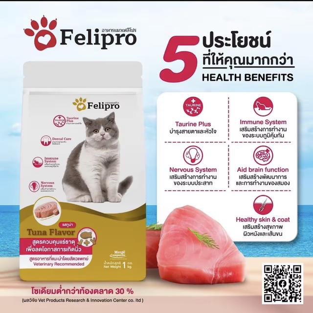 อาหารแมว Felipro 2