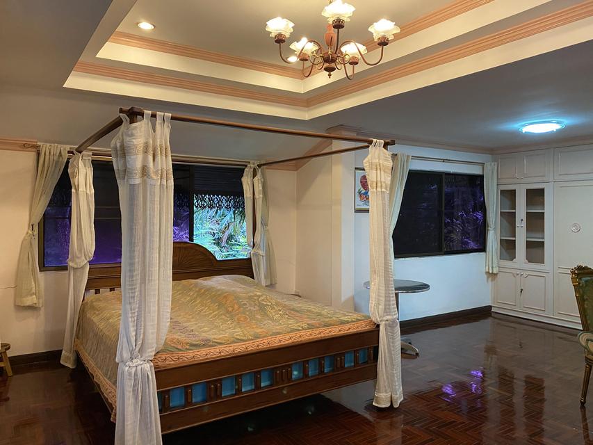 RENT VACATION HOUSE IN BIG GARDEN SEE THE LONG RIVER VIEW AT SANKHAMHENAG CHIANG MAI 3