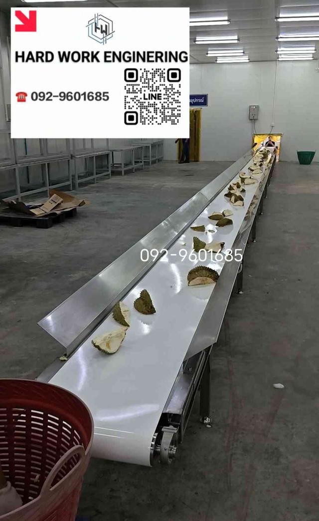 สายพานทิ้งเปลือกมะพร้าว