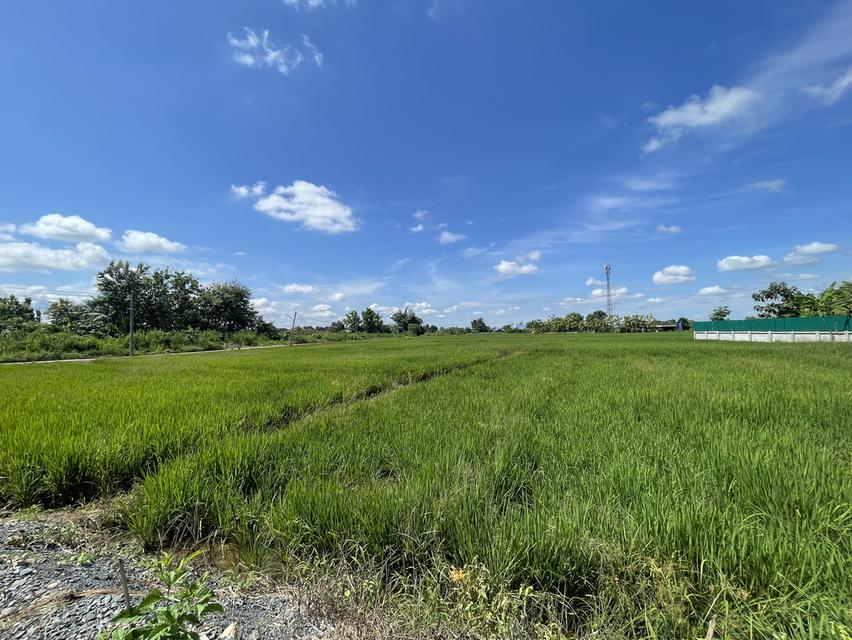 ขายที่ดิน 2 แปลงสวยรวม 5 ไร่ 2 งาน 76 ตรว Land for sale 2 Plots Total 5 Rai 2 Ngan 76 Sq.wa