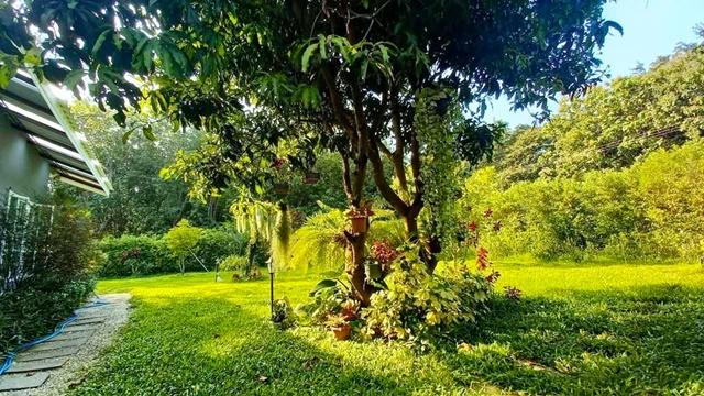 จัดเต็มเฟอร์ฯ แปลงยาว ฉะเชิงเทราให้เช่าบ้านรีสอร์ทสุดหรู 302ตร.วา. 902ตร.ม. รร.วัดหัวสำโรง 1.6 กม. พร้อมพื้นที่สวนขนาดเล 2