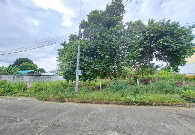 ขายที่ดิน ซอยศาลาธรรมสพน์ 13 ถนนบรมราชชนนี เขตทวีวัฒนา กรุงเทพมหานคร 5