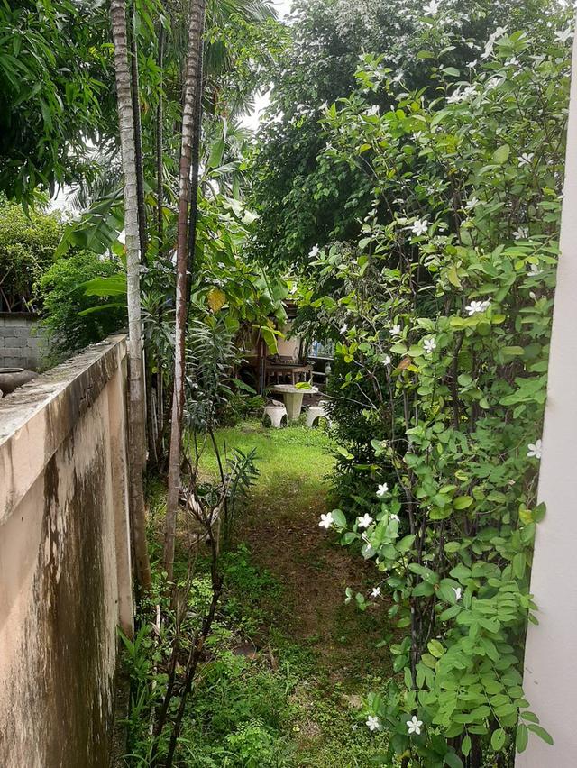 บ้านเดี่ยวพร้อมที่ดิน 16
