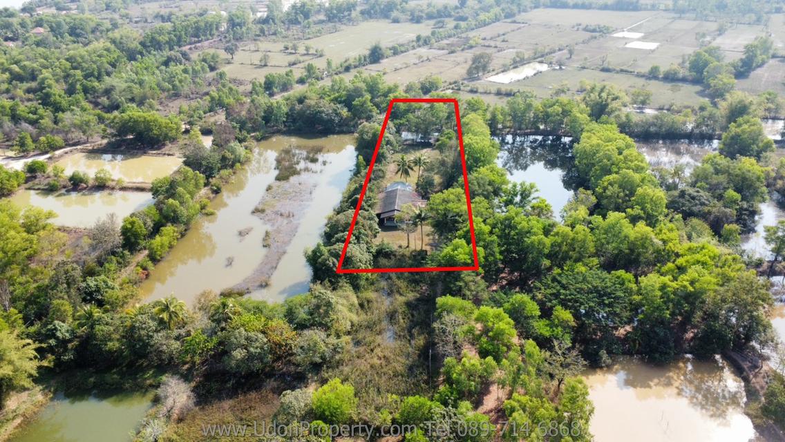 🔥 ขายด่วน! บ้านพร้อมที่ดิน พื้นที่ขนาดใหญ่ ใกล้เมือง จ.อุดรธานี (รหัส H1SS-491) 3