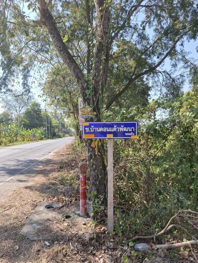 ที่ดินเปล่า 2 แปลงติดกัน หน้าติดถนนซอยบ้านดอนแต้วพัฒนา ต.พิกุลออก อ.บ้านนา จ.นครนายก 6