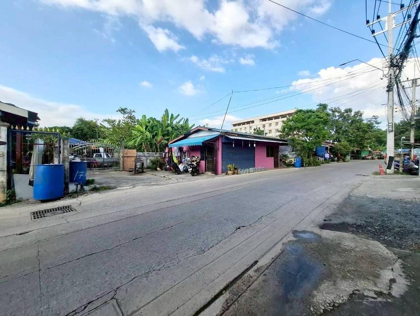 ขายบ้านชั้นเดียว 2 หลังคู่ พร้อมที่ดิน ซอยคชสาร4 หลังมหาลัยธรรมศาสตร์ 3