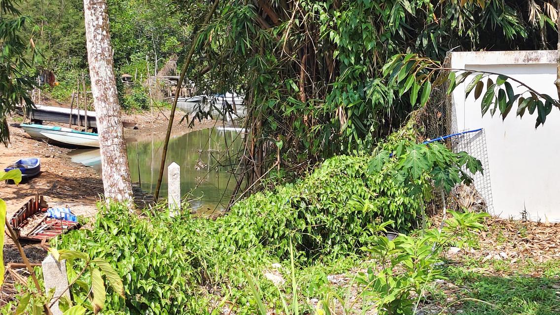 Koh Chang lovely 3bd 2ba House for sale รูปที่ 17