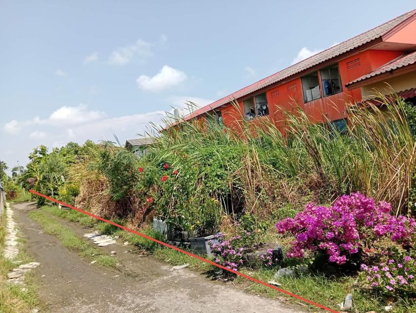 ขายที่ดิน 100 ตรวเศษ 7