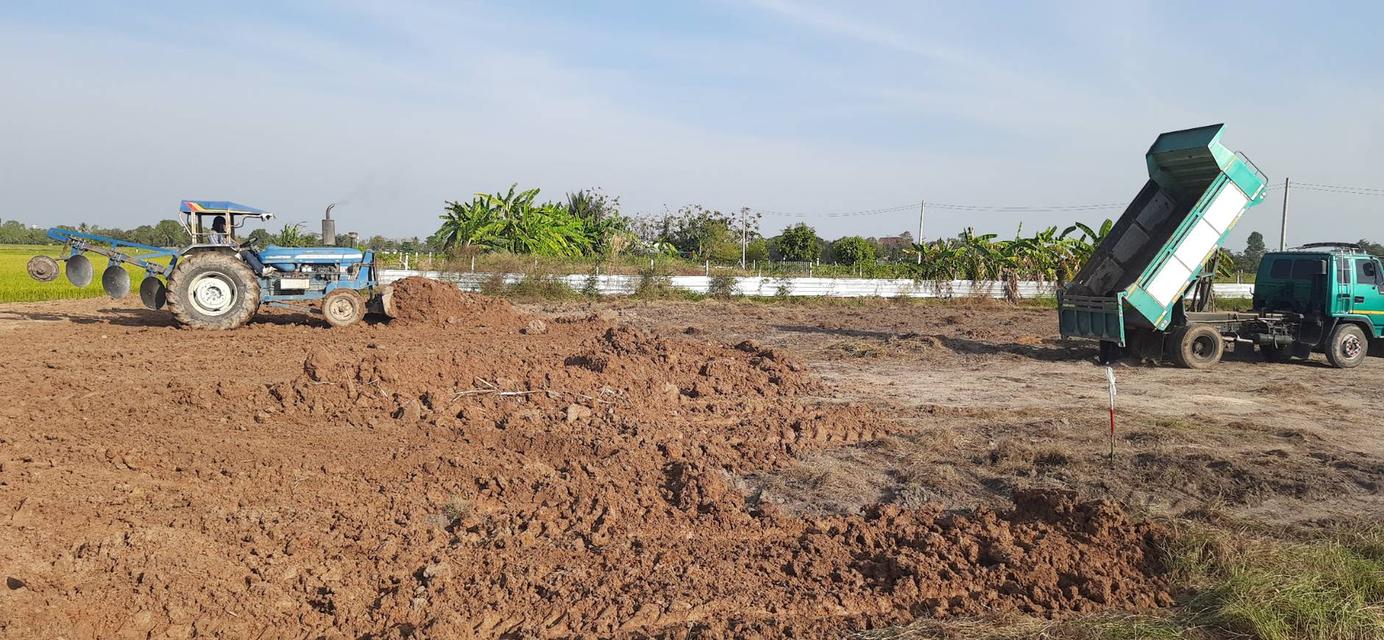 ขายที่ดินแปลงเล็กถมเเล้ว ผ่อนได้ ต. หนองผักนาก อ.สามชุก จ.สุพรรณบุรี 9