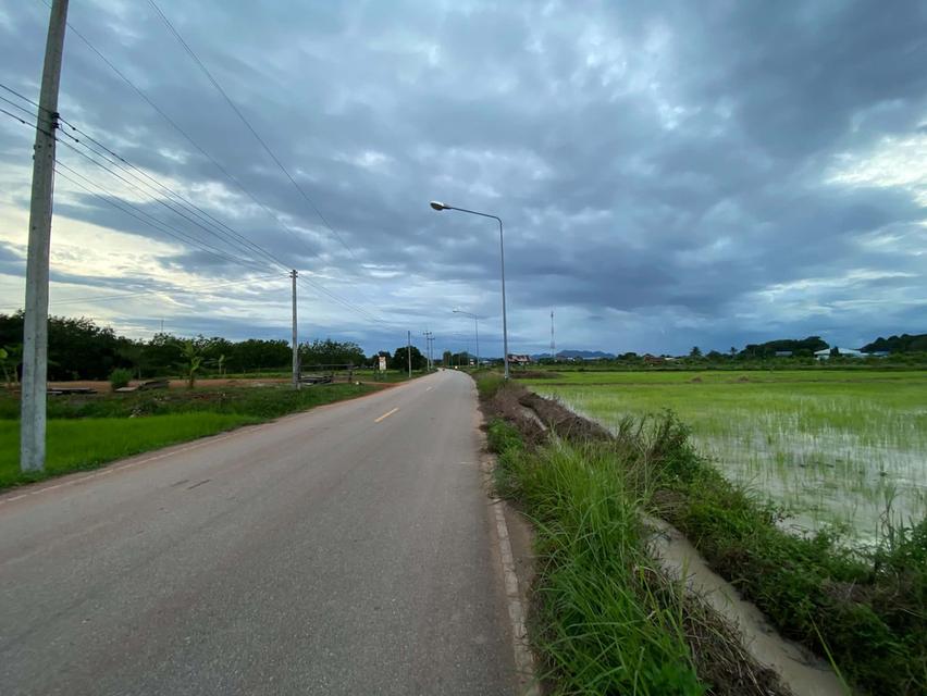 ที่ดิน1ไร่1งาน50ตรว. 3