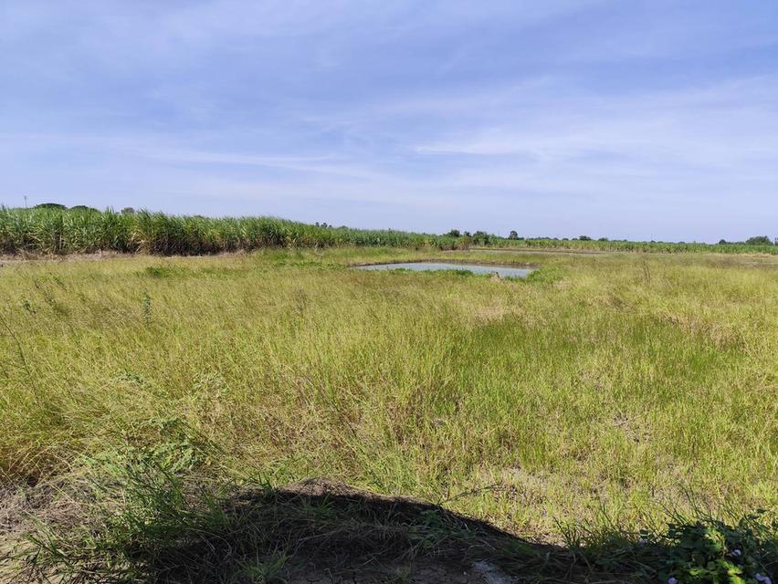 ขายที่ดินเปล่ายกแปลง 5 ไร่ โฉนด สวยมากก อาจจะแบ่งขายได้ พร้อมเจรจาคนซื้อจริงๆ นครปฐม