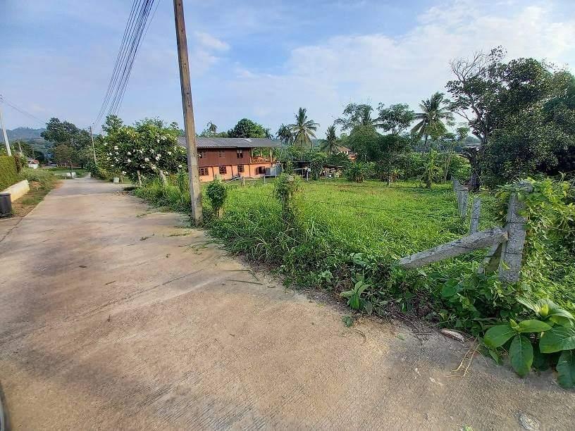 ขายที่ดินด่วน200ตรว. 4