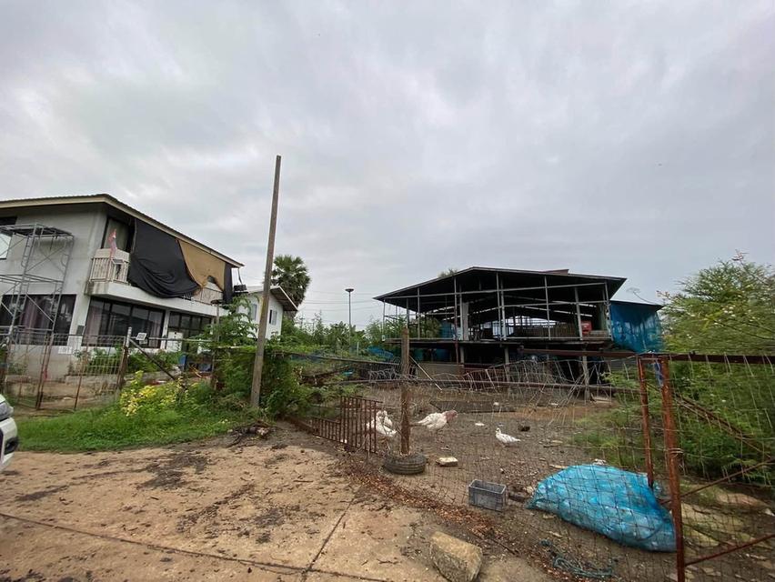 ขายต่ำกว่าประเมินที่ดิน 266 ตรว ติดถนนคอนกรีต ต.บ้านงิ้ว อ.สามโคก จ.ปทุมธานี 5