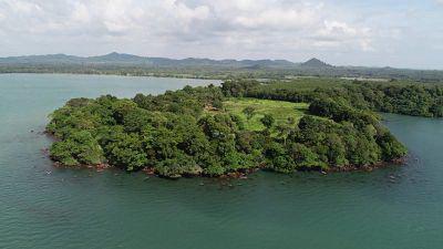 รูป Land on the island surrounding the sea surrounds a large plot of deeds. Laem Ngop Island, sea view 1