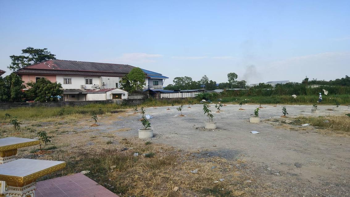 ที่ดินหทัยราช หลังหมู่บ้านวงศกร 1 2