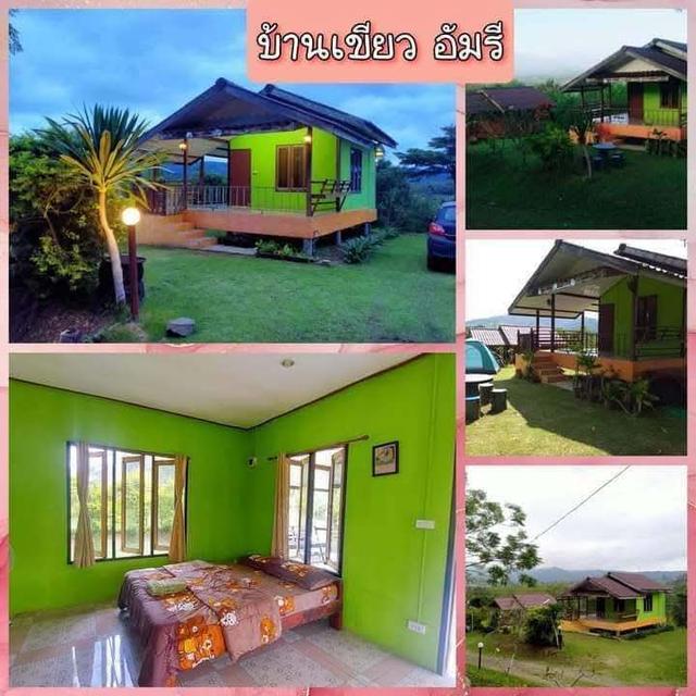 ปล่อยเช่ารายเดือน 2,000-3,000บาท มีเฟอร์นิเจอร์ 1