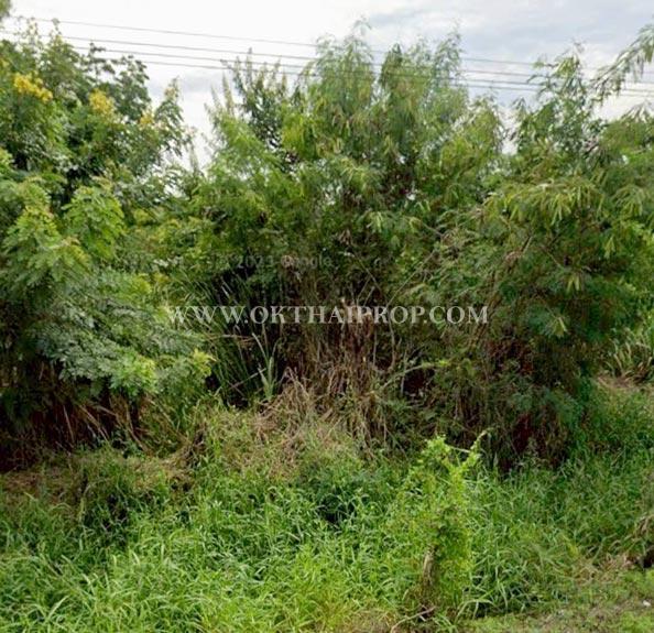 ที่ดินสวย ใกล้โรงพยาบาลพัฒนานิคม อ.พัฒนานิคม จ.ลพบุรี 2