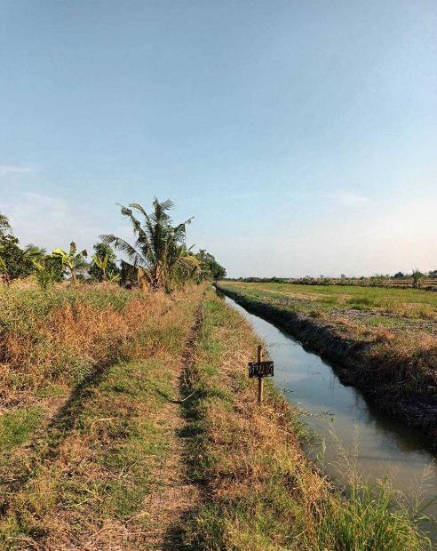 ขายที่ดิน ผังสีม่วง(ที่ดินประเภทอุตสาหกรรม) ,土地出售，紫色圖（工業用地） 7