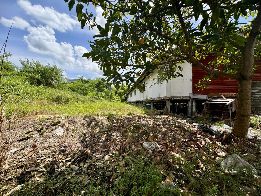 ขายที่ดินซอยลาดกระบัง3 ขนาด 371 ตร.วา (ถนนประชาทร) วิวลำธาร (N.1380) 7