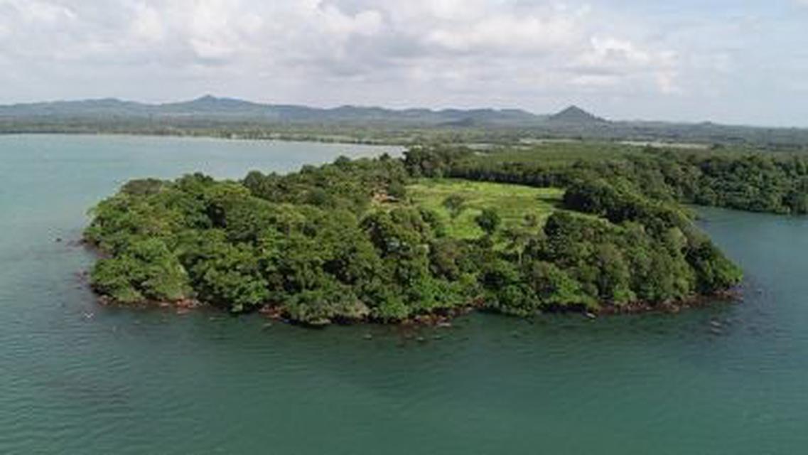 Island 59200 sqm. for sale 360 degree seaview surrounded so beautiful at Trat 3