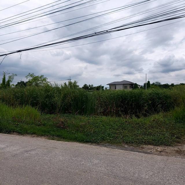 ขายที่ดิน ทำเลดี ที่สวย 1