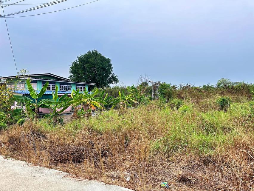 ขายที่ดิน1งาน30ตรว.ที่ดินสวยติด2ถนนด้านหลังติดคลอง(เจ้าของขายเอง) 2