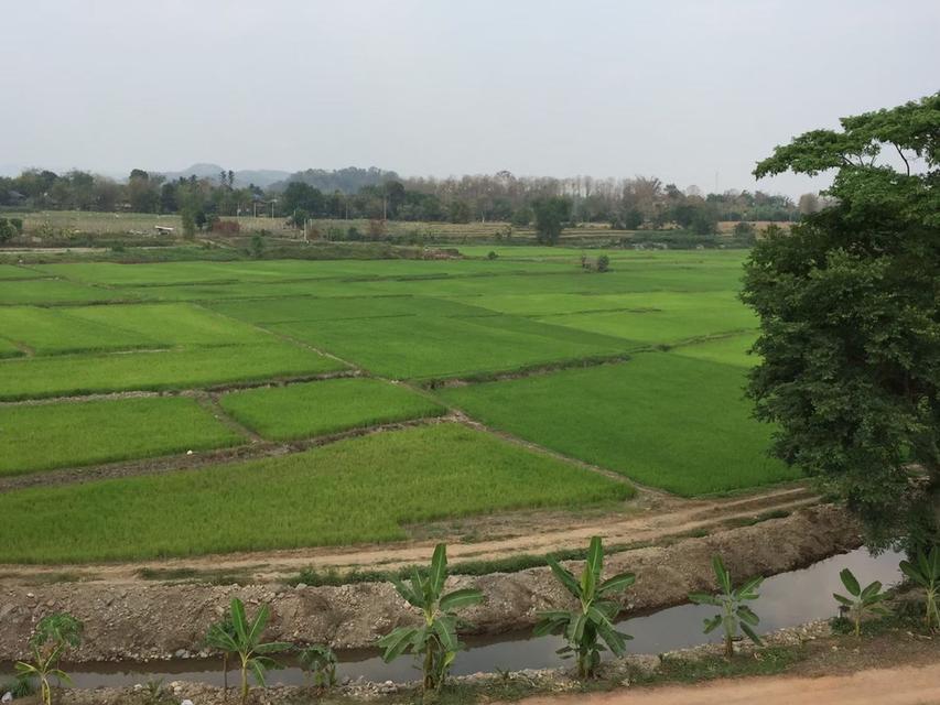 開放販售 房子在溪邊，山景 2