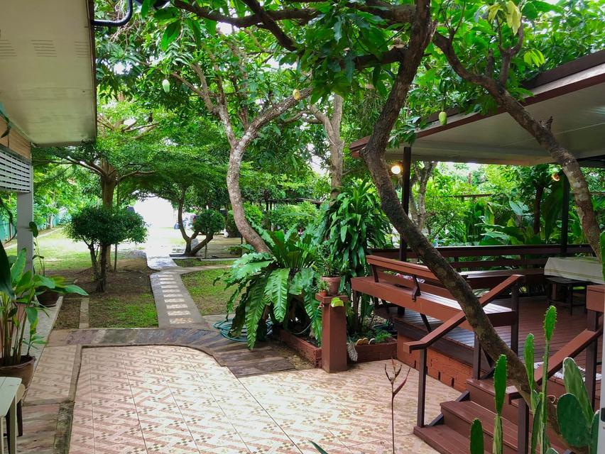 🏡ขายที่ดินแถมบ้านสวนใกล้ร.พ.สันทราย/กาดฝรั่ง/ม.แม่โจ้ เข้าเมืองไม่เกิน 20 นาที น้ำไม่ท่วม 12