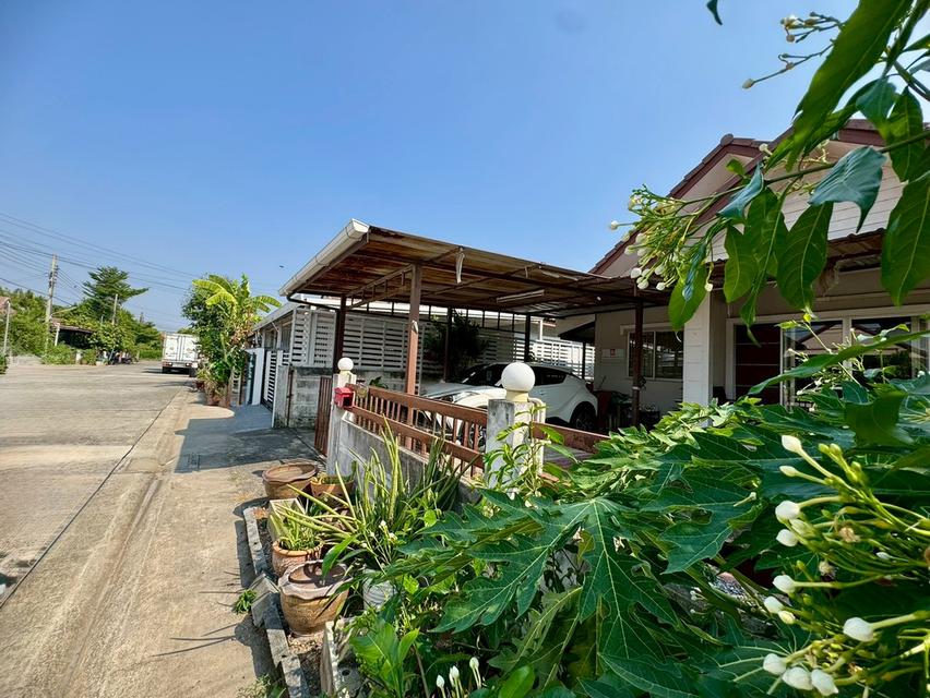 ขายบ้านเดี่ยว หนองจอก **ราคาพิเศษ บ้านร่มรื่นน่าอยู่** (N.2072) 18