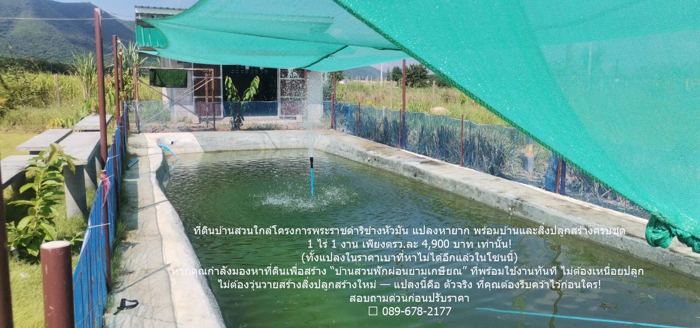 ขายด่วน! บ้านสวนบนเนิน วิวเขาพาโนรามา ติดโครงการชั่งหัวมัน (โฉนดครุฑแดง) 5