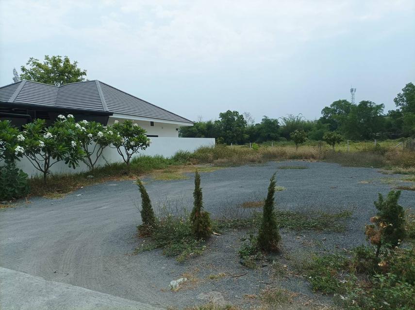 ขายที่ดิน95ตร.ว. ต.แม่คือ อ.ดอยสะเก็ด จ.เชียงใหม่ 2