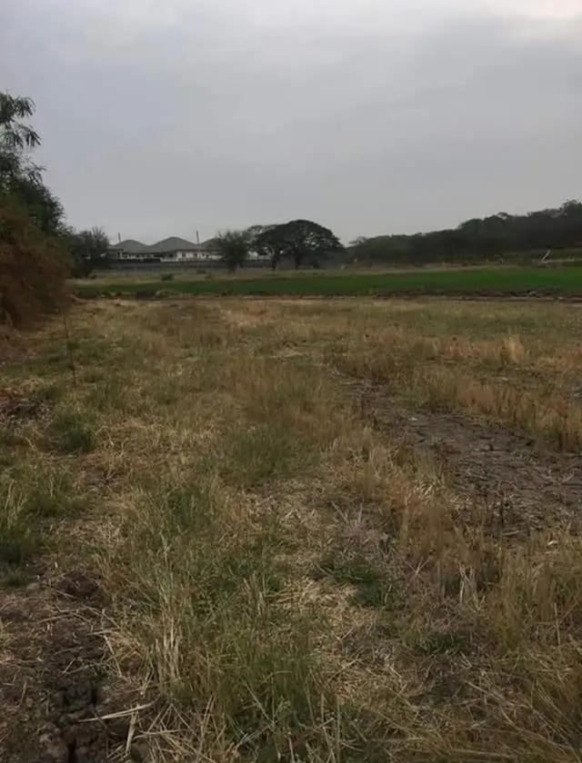 ขายที่ดินสีม่วงอมแดง อ แก่งคอย จ.สระบุรี 5