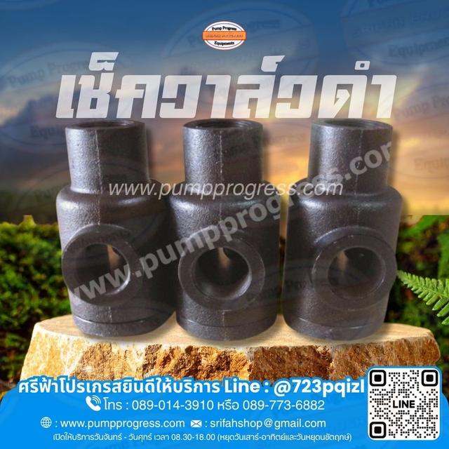 เช็ควาล์วดำ พร้อมส่ง