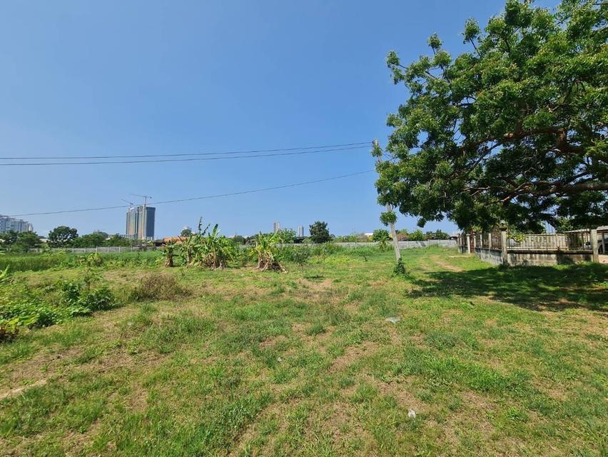 ขายที่ดินพัทยาใต้ ซอยสุขุมวิท 58 และ 60  6