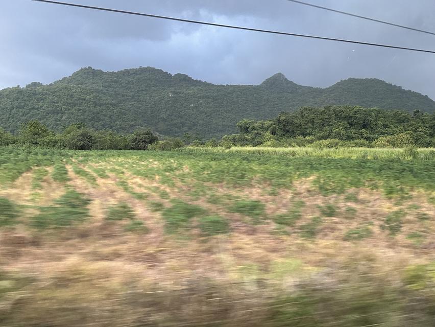 ที่ดินติดถนนเขาวง ปากช่อง  2ไร่  โอบล้อมด้วยวิวเขา ติดถนนเส้นเขาวง หน้ากว้าง สวย โฉนด 8