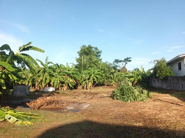 ขายที่ดินสวย 1 ไร่ 1 งาน 70 ตร.ว. @สูงเนิน จ.นครราชสีมา หมาะสร้างบ้าน รีสอร์ต โกดัง หรือทำเกษตร บรรยากาศดีมาก! 2