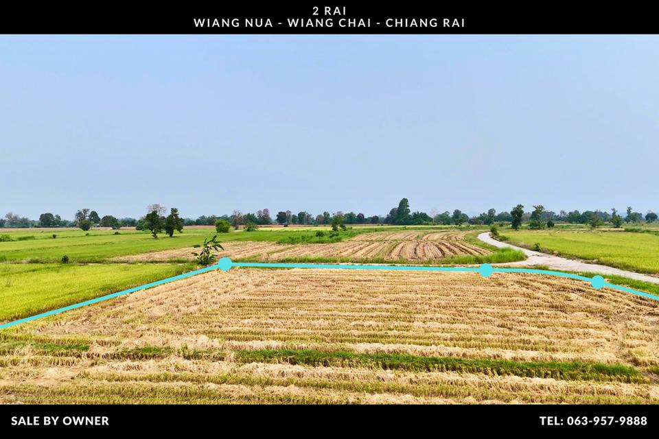 เจ้าของขายเองราคาถูกสุดๆ ที่นา 2 ไร่ ใกล้แม่น้ำกก อ. เวียงชัย จ.​ เชียงราย 12