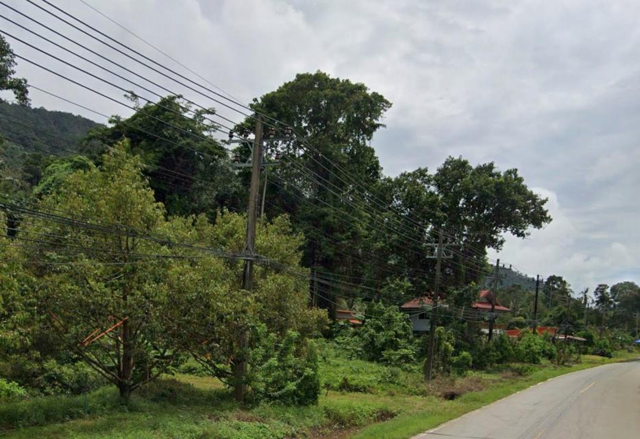 ขายที่ดิน แปลงสวย อ.เกาะช้าง จ.ตราด ขนาด 1-0-42 ไร่ ใกล้ท่าเทียบเรือเกาะช้าง 2