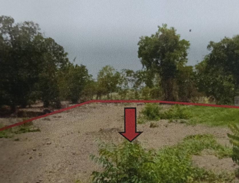 ขายบ้านเดี่ยวพร้อมที่ดิน 2 งาน 83 ตร.ว. ติดถนนสี่เลน สุพรรณ - ชัยนาท โทร. 085-7360569 9