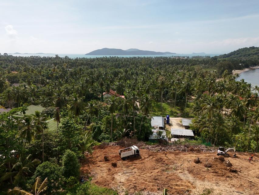 ที่ดินใกล้ทะเลวิว 90 องศา 6