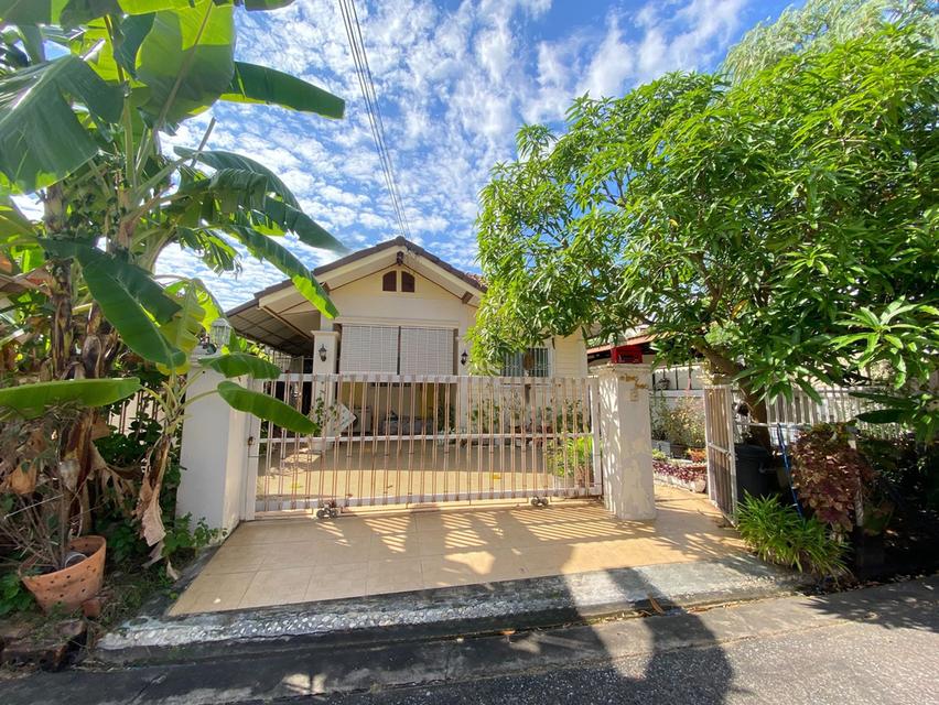 ขายบ้านเดี่ยวชั้นเดียว พร้อมเฟอร์นิเจอร์ ราคาถูก ใกล้บิ๊กซี (รหัส H1SS-486) 1