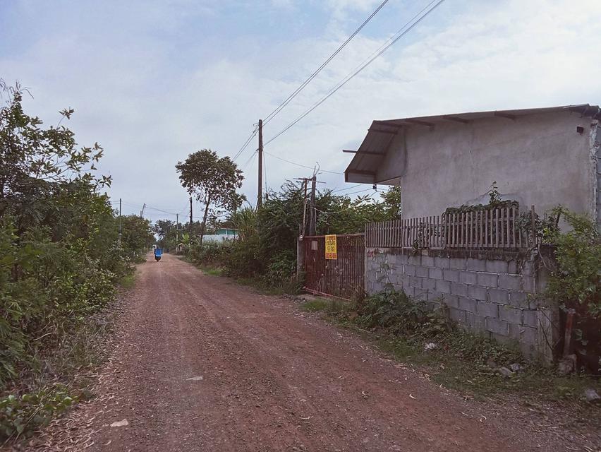 ขายบ้านชั้นเดียว ซอยเชียงรากน้อย 18/3 เชียงรากน้อย พระนครศรีอยุธยา 3